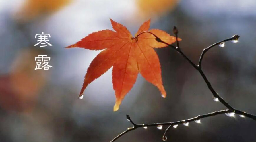 寒露時節(jié)！金環(huán)電器提醒大家要注意的事項