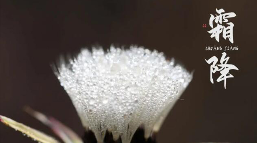 霜降時節(jié)！金環(huán)電器提醒大家要注意的事項