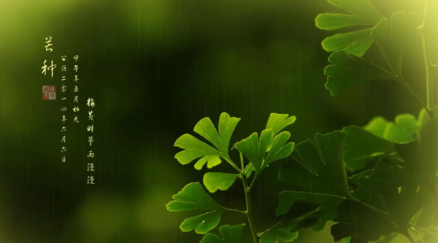 芒種時節(jié)！金環(huán)電器提醒大家的注意事項(xiàng)