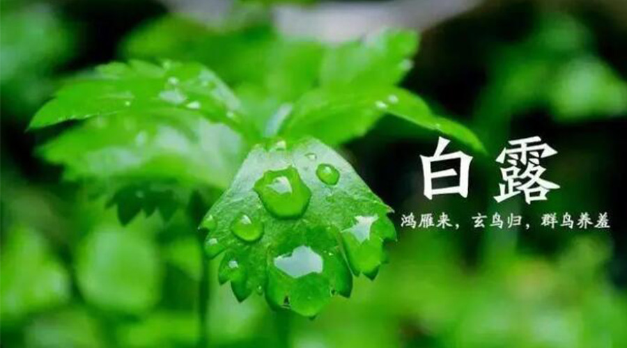白露時(shí)節(jié)！金環(huán)電器提醒大家要注意的事項(xiàng)